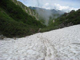 雪田