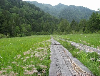 燧ヶ岳へ