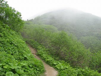 燧ヶ岳へ