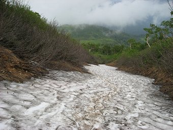 雪渓下り