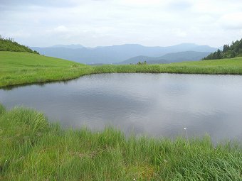 熊沢田代　池塘