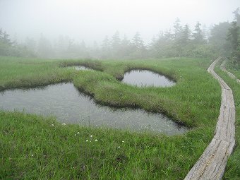 池塘