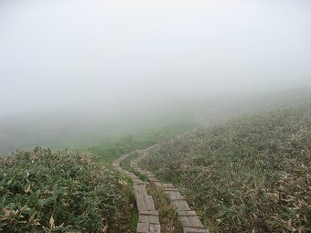 駒ノ大池へ