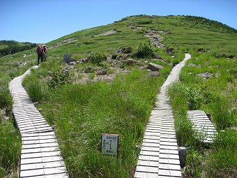 薬師沢・黒部五郎岳　分岐