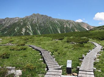 スイス庭園は左へ