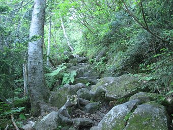 雲ノ平へ