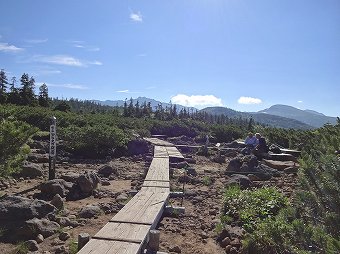 アラスカ庭園