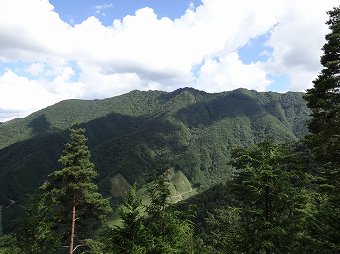 本社ヶ丸の山々