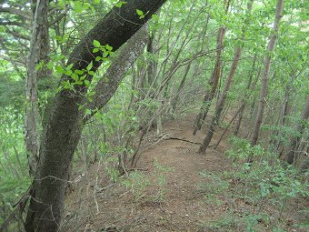 笹子駅へ