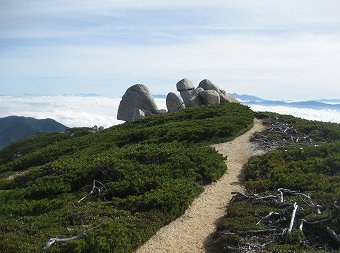 ハイマツと石の尾根