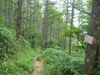 池山ハイキングコース