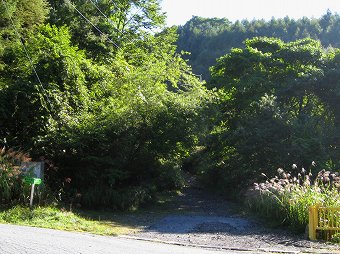 湯ノ沢峠　登山口