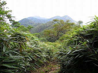 一番奥が滝子山？