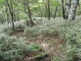 米背負峠へ