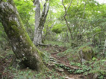 大谷ヶ丸へ