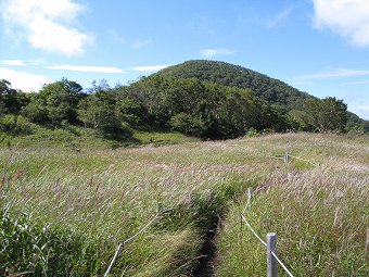 湯ノ沢峠花畑