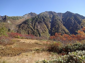 小さな湿原