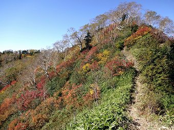 中崎尾根