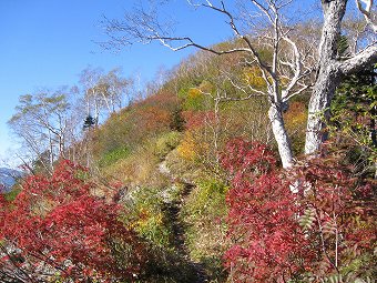 奥丸山へ