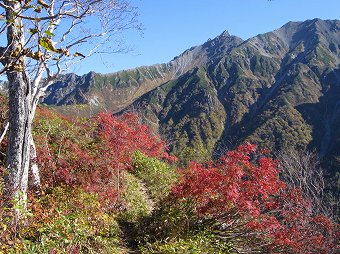 槍ヶ岳へ