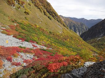 涸沢テント場下の紅葉