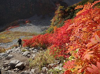 涸沢テント場