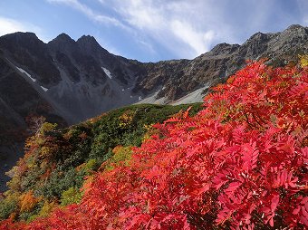 吊り尾根とナナカマド