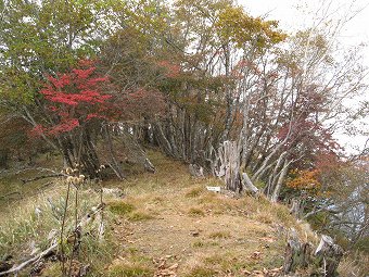 倉掛山　山頂