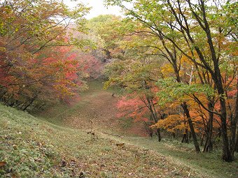 倉掛山防火帯