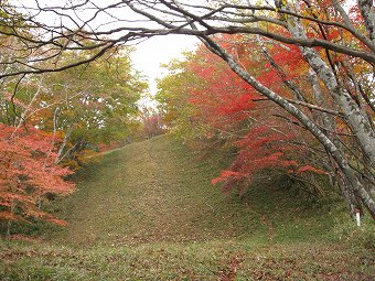 倉掛山防火帯