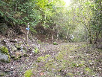 白沢峠　登山口