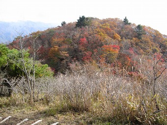 ハンゼノ頭から見る柳沢ノ頭