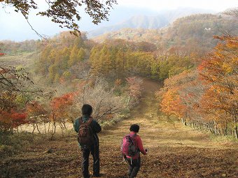 藤谷ノ頭　防火帯