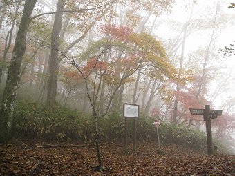 ナラ坂・ブナ坂分岐