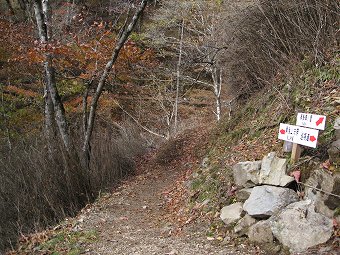 水場下の分岐