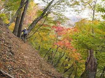 ちらほら紅葉