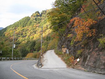 後山林道　入口