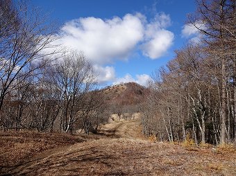 鷹ノ巣山へ