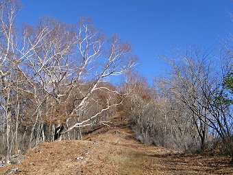 鷹ノ巣山　防火帯