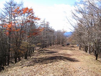 鷹ノ巣山避難小屋へ