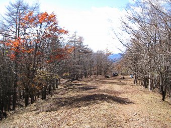 鷹ノ巣山避難小屋へ