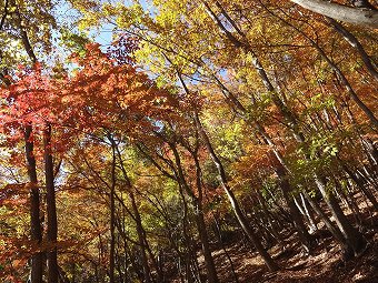 倉戸山へ