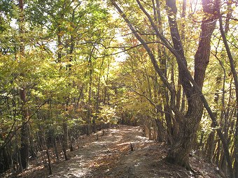 浅間神社周辺