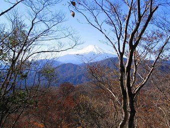 富士山