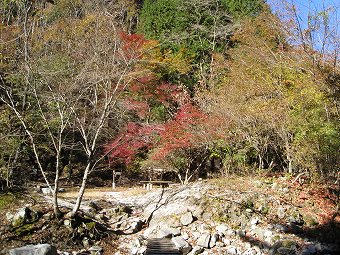 権現山分岐ベンチ