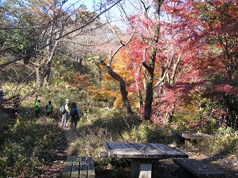 奥高尾の紅葉