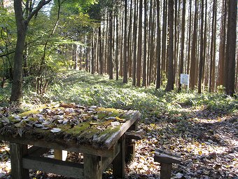 苔むすテーブル