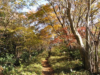 南高尾山稜