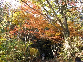 お稲荷さん