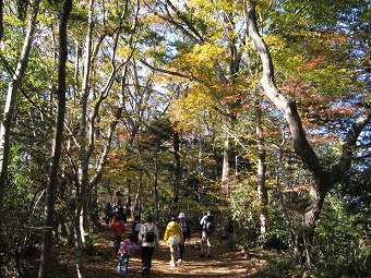 稲荷山コース